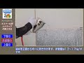 アクリルタイル 　エスケー化研 レナラックの施工方法　ペイントシティーコム