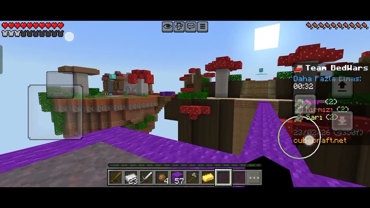 Bilgilikagan kuzenimle bedwars