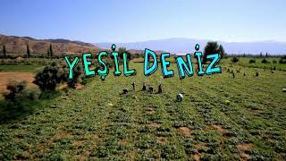 KAYBOLALIM - YEŞİL DENİZ DİZİSİ FON MÜZİĞİ Resimi