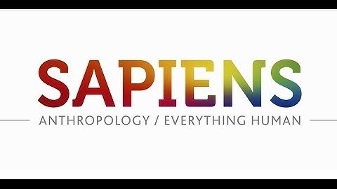Introducing SAPIENS