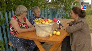 Мастеру спорта Советского союза Виктору Мелентьеву исполнилось 90 лет! #серов #серовтв #твсеров