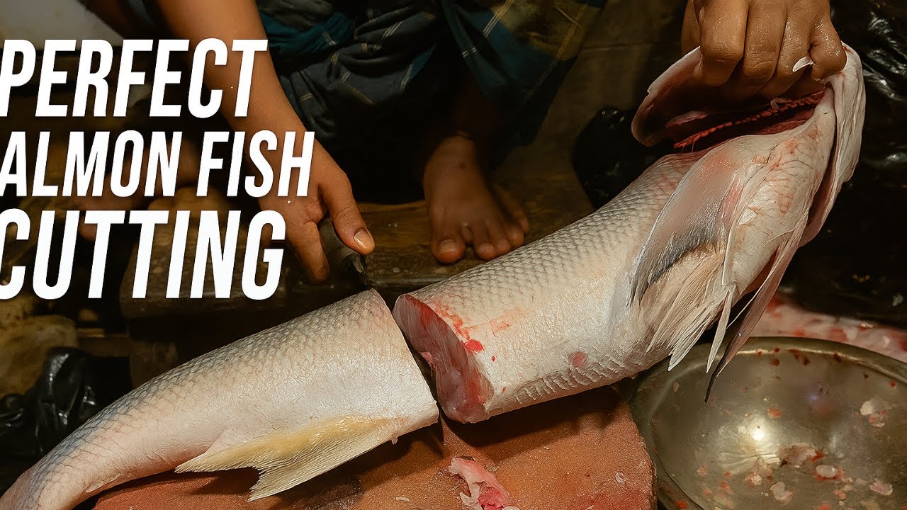 Professional Salmon Fish Cutting & Filleting – Full Process | Satisfying ASMR Seafood Preparation