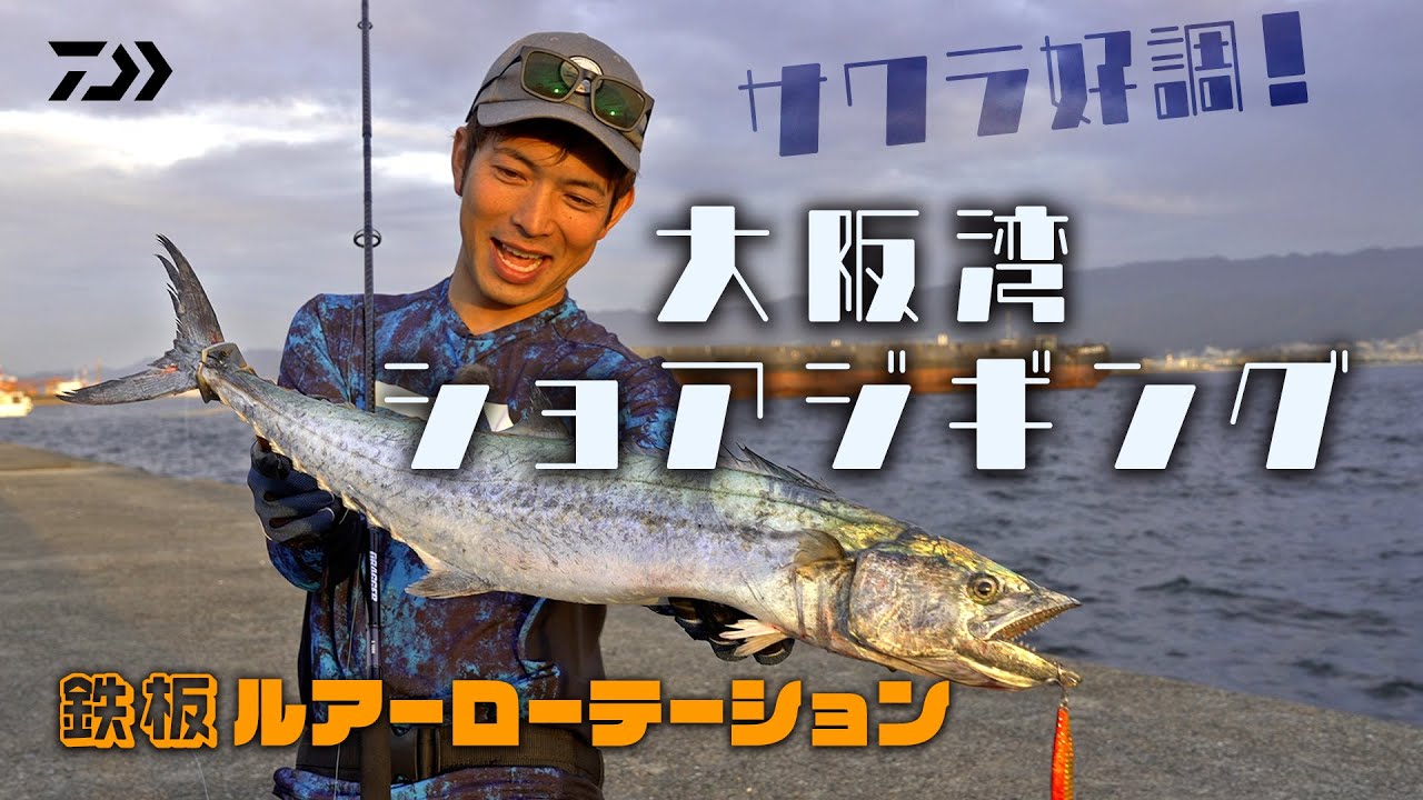 ショアジギング] サワラ好調！ 大阪湾奥ショアジギング 鉄板ルアー