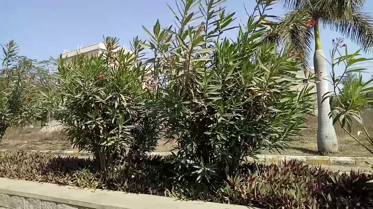 33,000/ per yards Plot for sale At Aparna Palm Groves West Face 322 Yards , Kompally Near