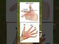 Right hand rule ll trending vedio ll Viral short ll #shortfeed #viral #trending