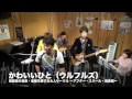 かわいいひと ウルフルズ cover カバー 福岡県 バンド メンバー 募集 ボーカル ギター ベース ドラム キーボード