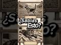 6 Datos sobre tu perro o gato que necesitás saber 🐶🐱 #curiosidades #datoscuriosos #sabiasque