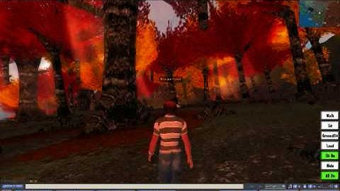 Space Navigator Demo - Google Earth & Second Life