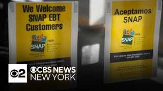 Clash in courts over SNAP funding leaves millions of Americans with questions