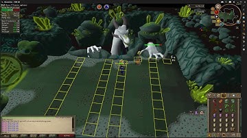 OSRS - Mage Hand Skips