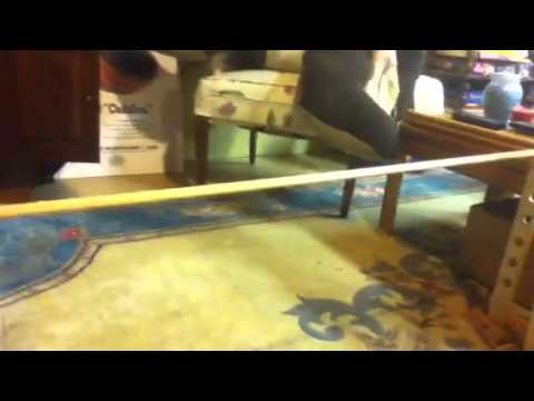 How to Train Your Rabbit to Jump