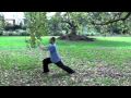 Tai Chi 24 form