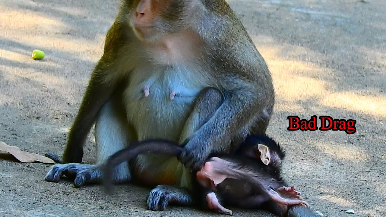 Bad drag by mom Anna don't care with baby during moving