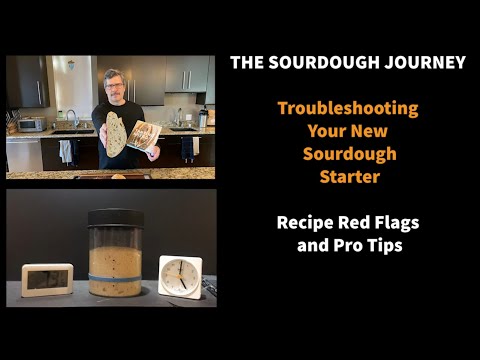 Troubleshooting Your New Sourdough Starter: Recipe RED FLAGS and Pro Tips