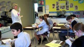 Famous Science 8 Cow Eye Dissections Wealth