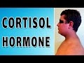 Cushing Syndrome (Cortisol Hormone) - Release, Function, and Regulation