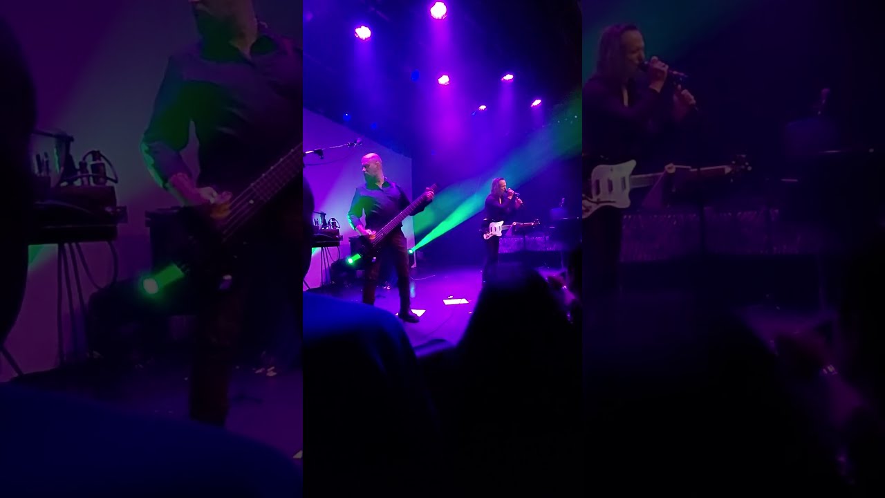 Iamnoone This Is Forever Live 19 10 24 Das Rind R Sselsheim Gothic Concert Postpunk