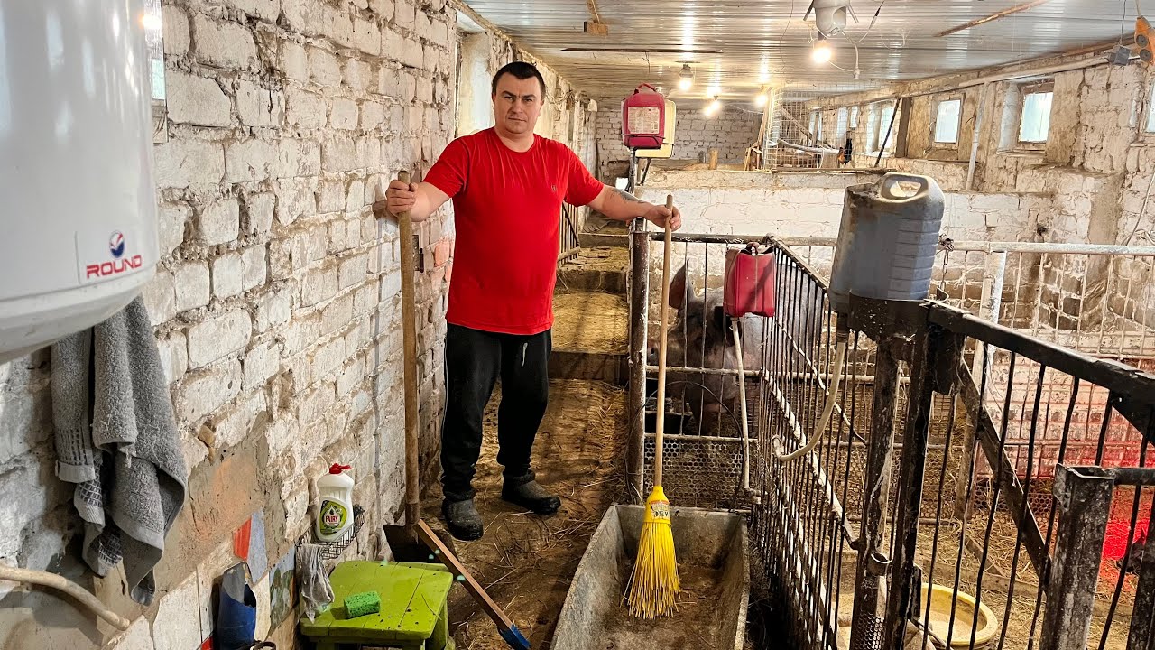 Понаводил порядки | Планов много