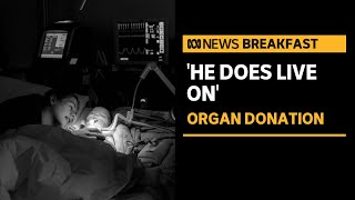 'He does live on': Why these parents decided to donate their son's organs | ABC News