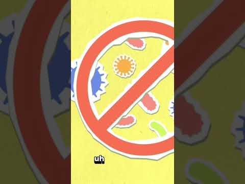 Dr Riffat Sadiq Dr RS Ginger Health Hero Ginger Naturalhealing Healthyliving 