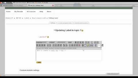 How to insert a Voki in Moodle