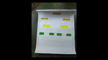 TLM on life science b.ed 3rd semester