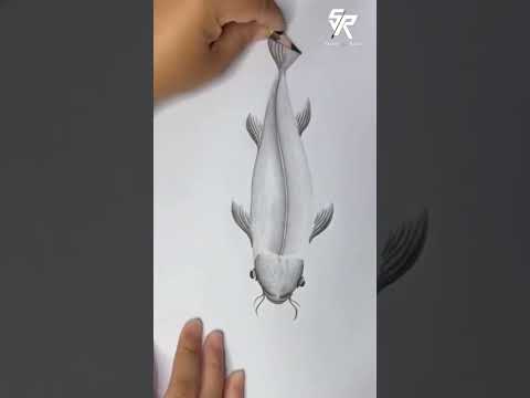 How to draw