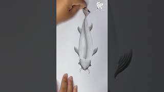 How To Draw Fish
