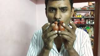 Terracotta Sparrows Beautifully Mimicking True Sounds