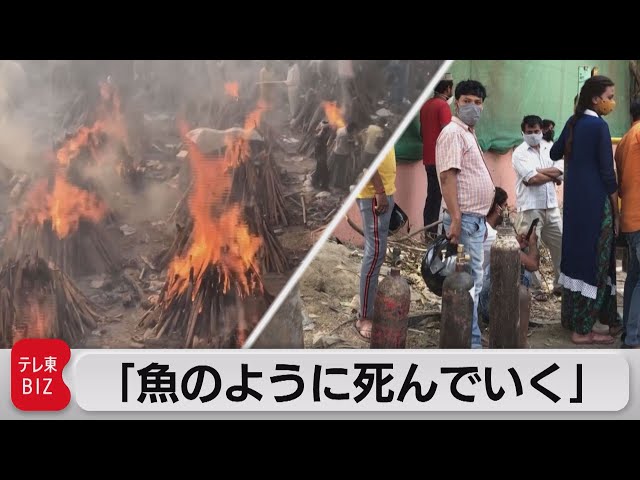 魚のように死んでいく カズキの気まぐれブログ 魚のように死んでいく カズキの気まぐれブログ