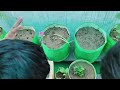 Flowers Identification Activity | Garden Learning for Kids | IGNOU DECE Practical | activity 13