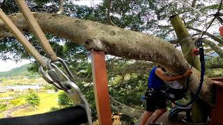 Bayview Mini Putt and Zipline, Oahu