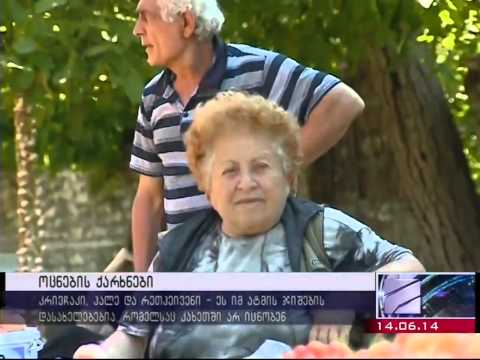 ღარიბაშვილისთვის საჩვენებლად ამუშავებული ქარხანა და ნათხოვარი ატამი - 15.06.2014 - ZONANEWS.GE