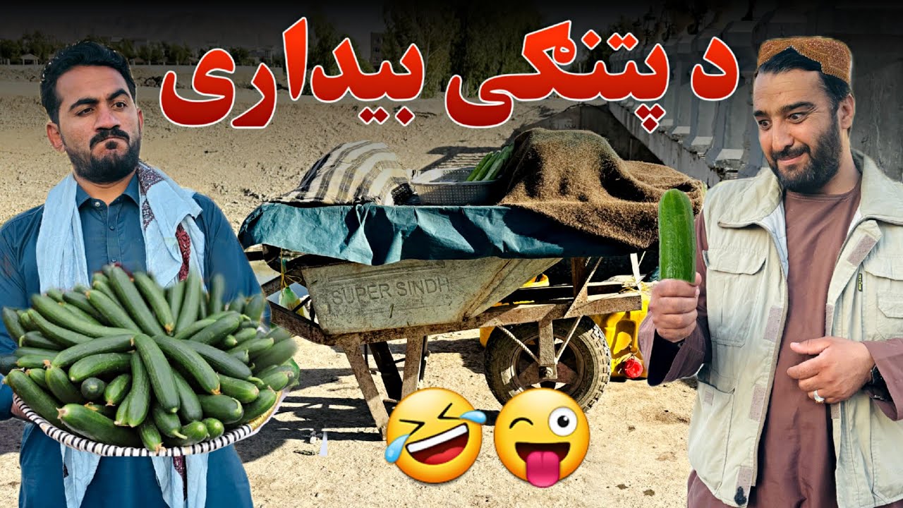 د پتنګی بیداری 🤣