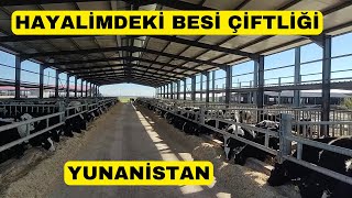 HAYALİMDEKİ BESİ ÇİFTLİĞİ (Yunanistan'da Fiyatlar Daha İyi)