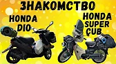 Жажда Свободы