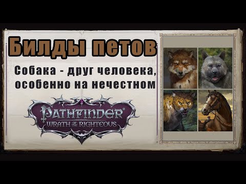 Видео: Билды петов. Танки и дамагеры - они могут все. Нечестный Pathfinder wrath of the righteous