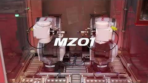 MZ Series- MZ01