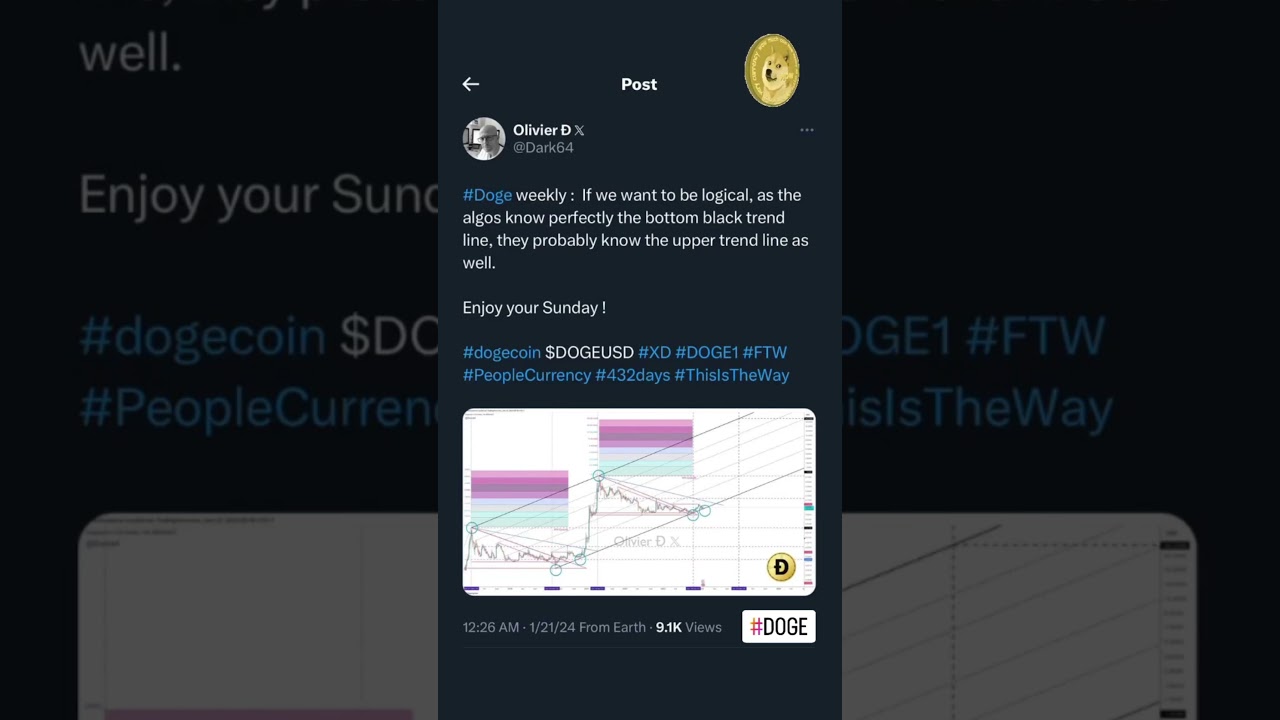 Is Dogecoin Your 2024 Crypto Winner? 🏅 In-depth Analysis & Predictions for  #DOGE 🐕 (See Description) - YouTube