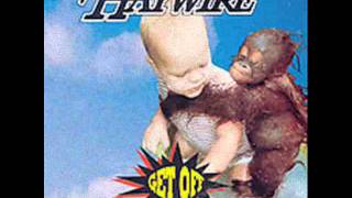 Haywire - Buzz
