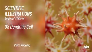 Beginner C4D Tutorial for Scientific Visualization | 3D Modeling Guide | 08 Dendritic Cell
