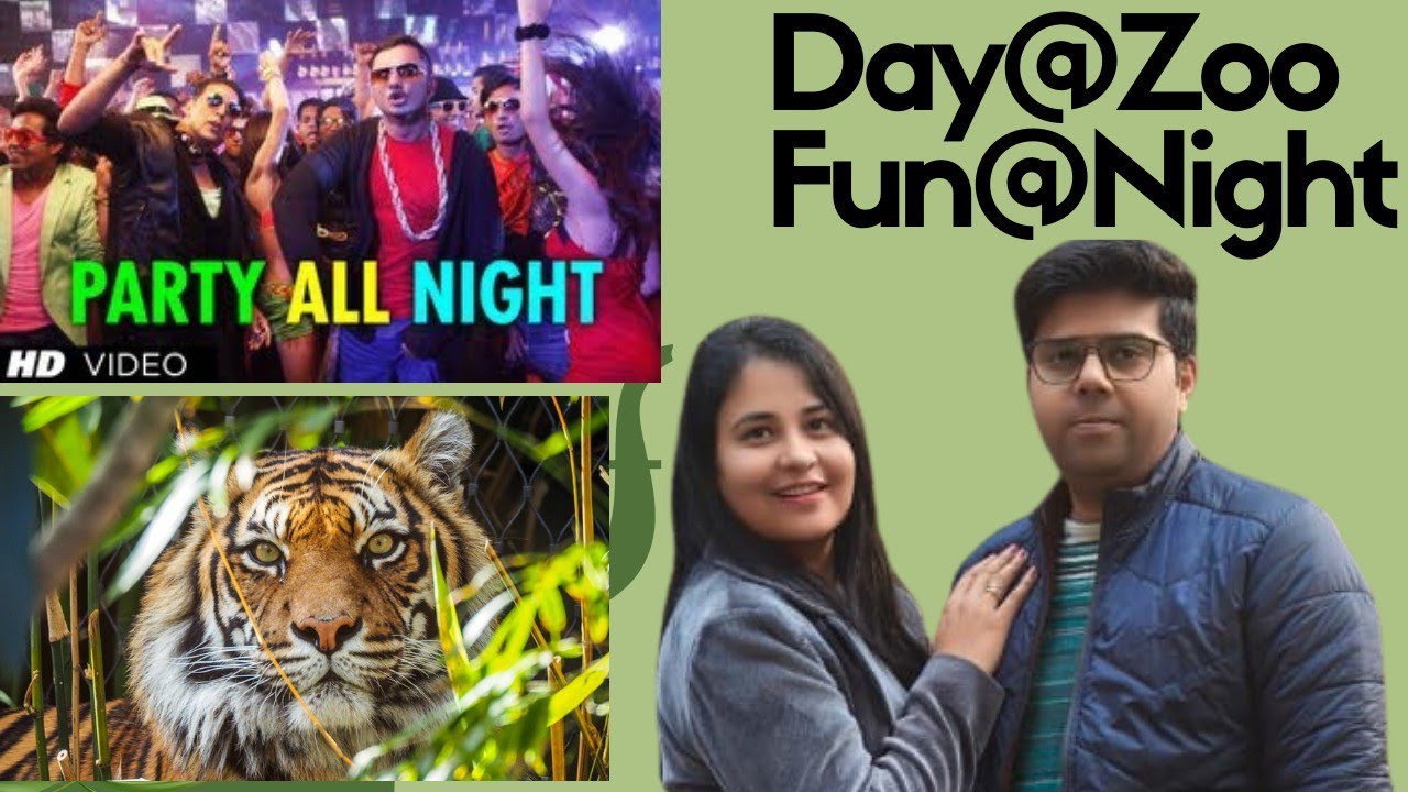 शेर का डंडा🔥~ where the wildlife meets the peak 