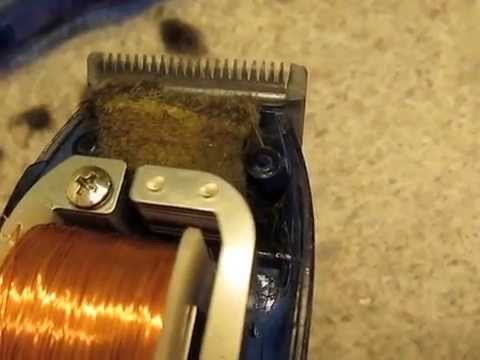 wahl shaver not cutting