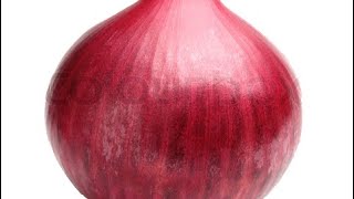 Onion
Onion Onion