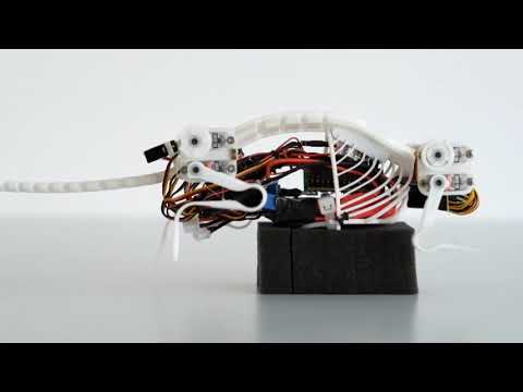 NeRmo Mouse Robot Introduction