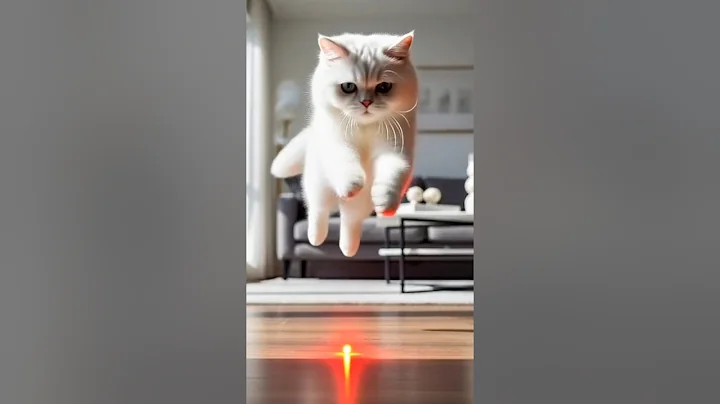 Video 11070691: persian cat chasing, persian cat funny, funny cat jumping