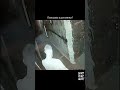 Квест «Phasmophobia» в СПБ. НашTK: QUEST STARS | SCARY PLACE SPB#квесты #хоррорквесты #хоррор