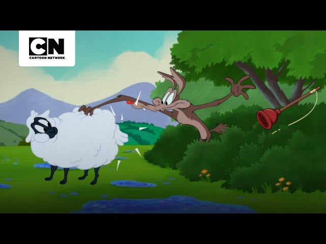 Batalha no castelo!  Cartoon Network Brasil