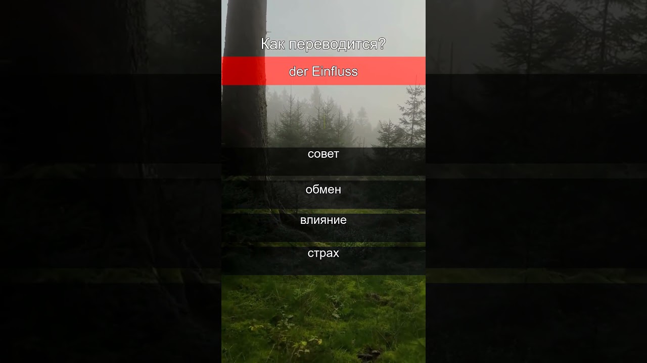 Проверь себя: краткие тесты на знание немецкого языка 