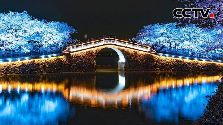 如梦似幻、神秘浪漫！太湖鼋头渚樱花宛若“春江花月夜”画卷 | CCTV - 天天要闻